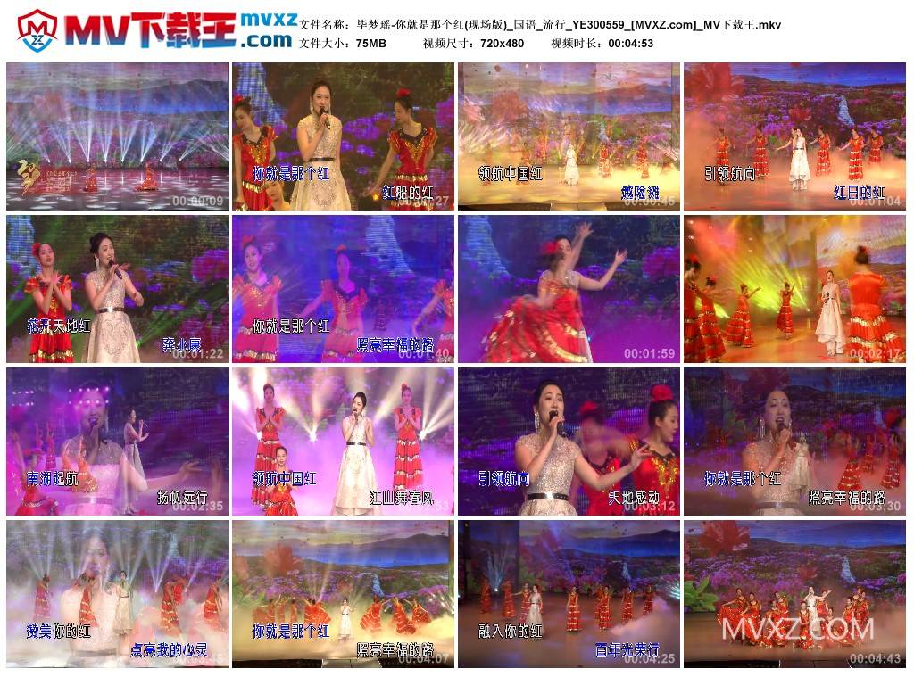 毕梦瑶-你就是那个红(现场版)_国语_流行_YE300559